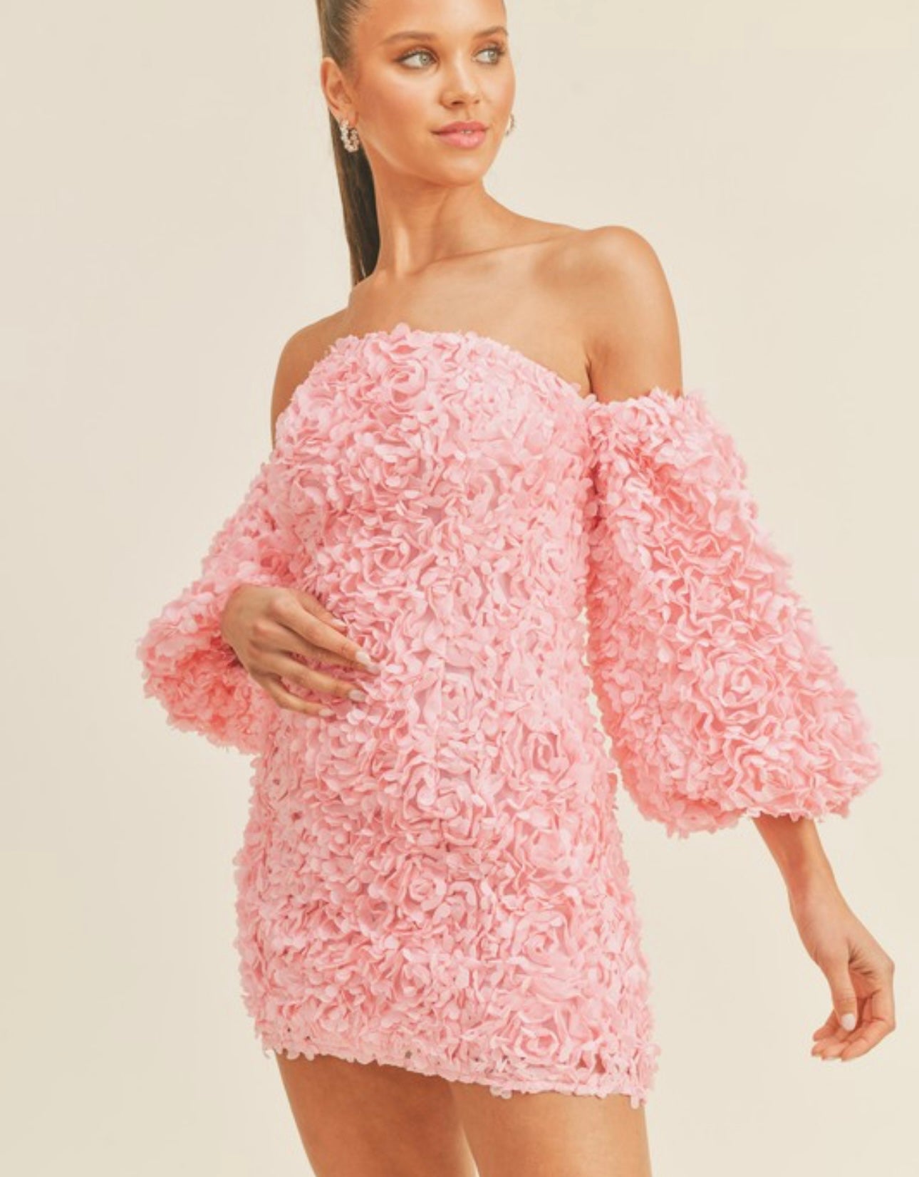 Hannah 3D Floral Appliqué Off Shoulder Puff Sleeve Mini Dress