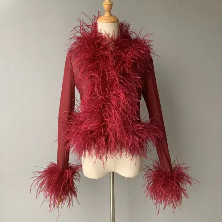 Cassie Sheer Long Sleeve Cardigan with Feather Collar and Sleeve Trim