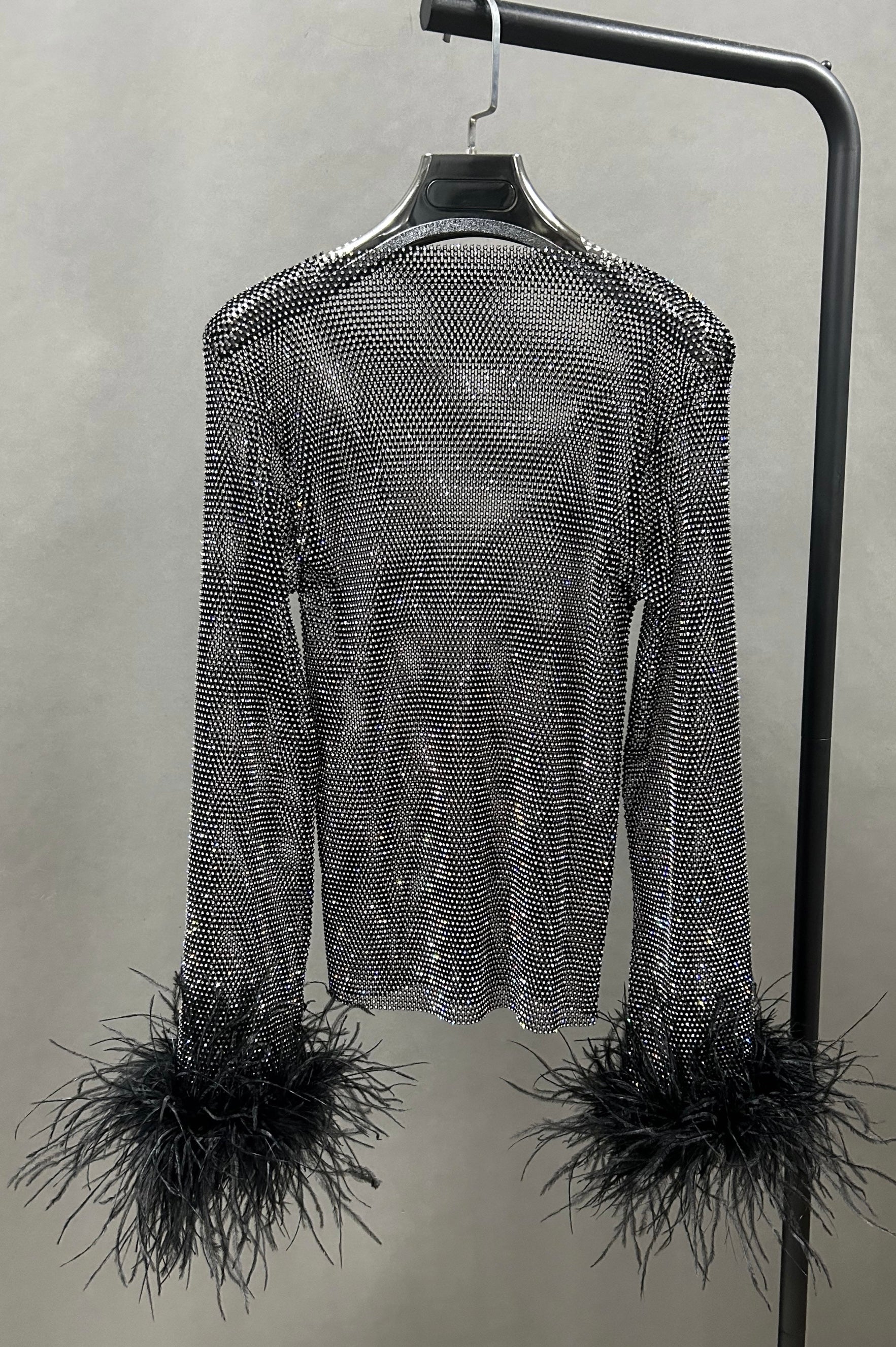Thea Rhinestone Mesh Top with Feather Trim – Ever Chic Fashions