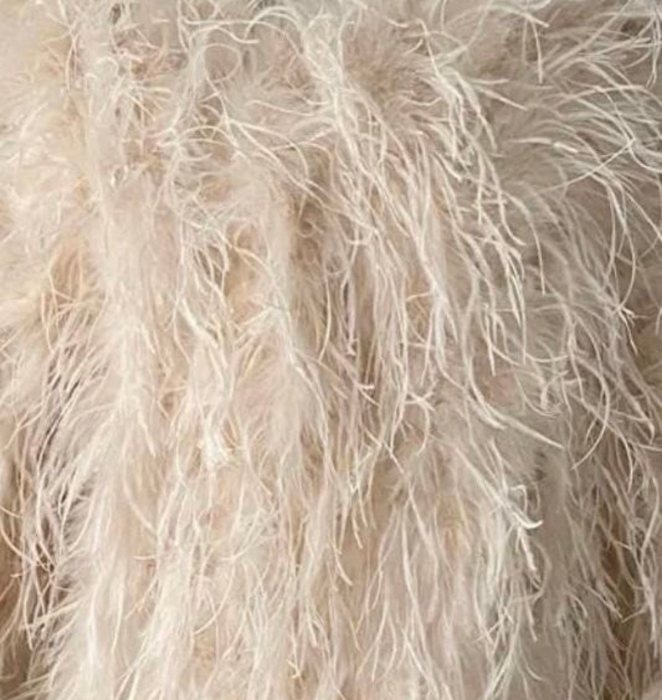 Dira Long Fluffy Feather Coat