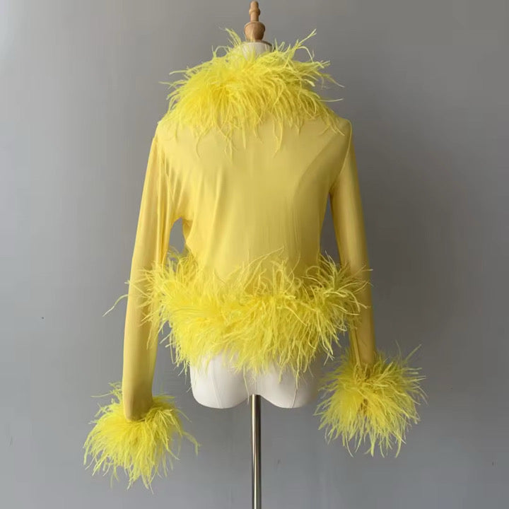Cassie Sheer Long Sleeve Cardigan with Feather Collar and Sleeve Trim