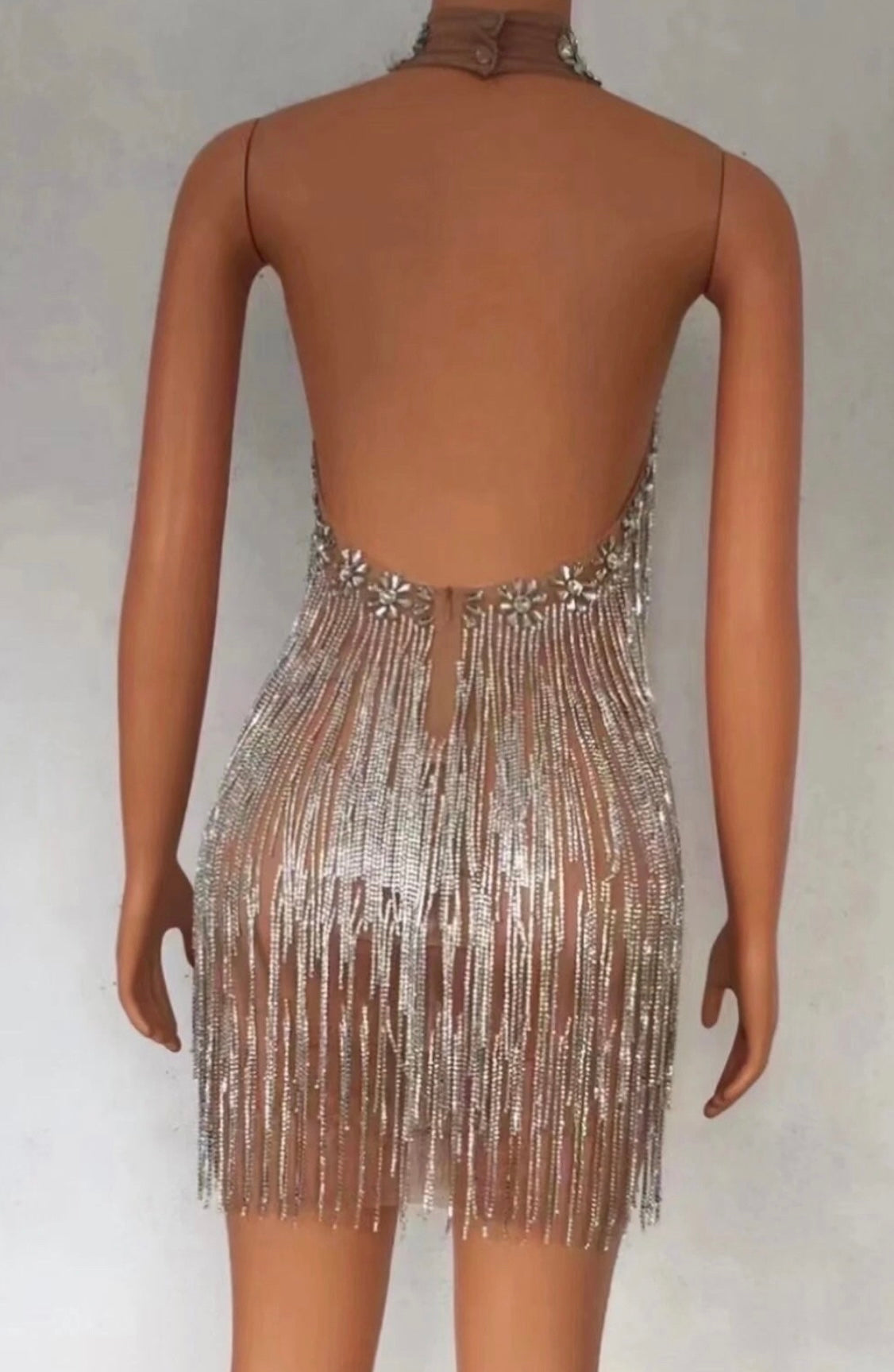 Saoirse Rhinestone Fringe Embellished Halter Backless Mini Dress