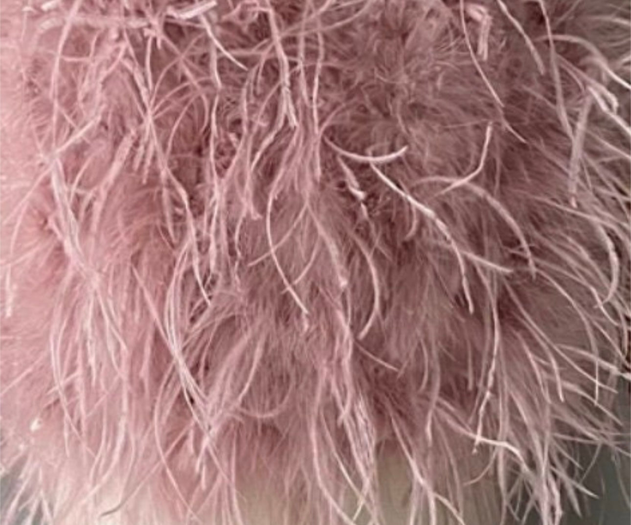 Dira Long Fluffy Feather Coat