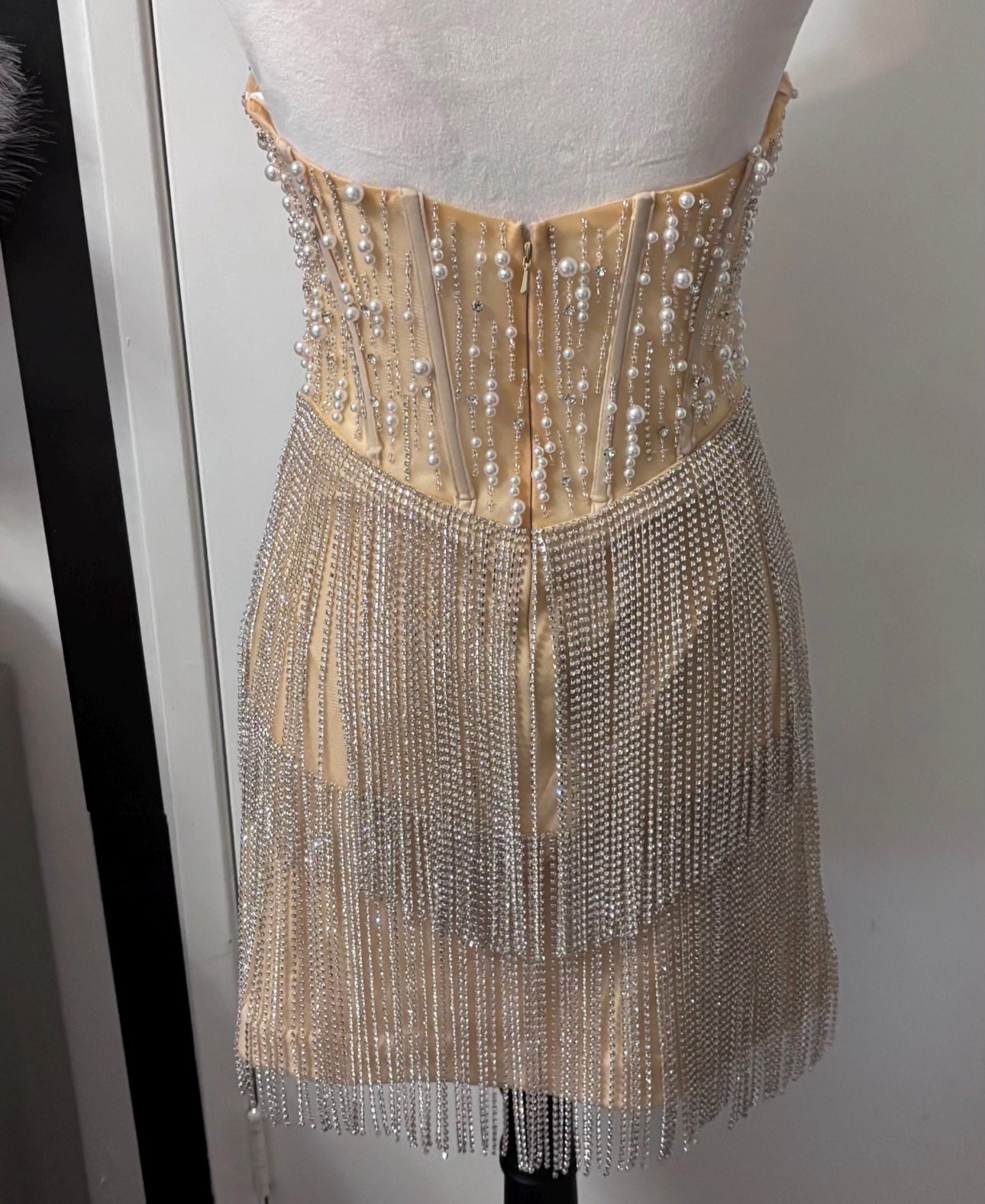 Layton Rhinestone Fringe and Pearl Embellished Mini Dress