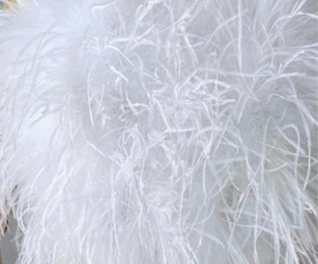 Dira Long Fluffy Feather Coat