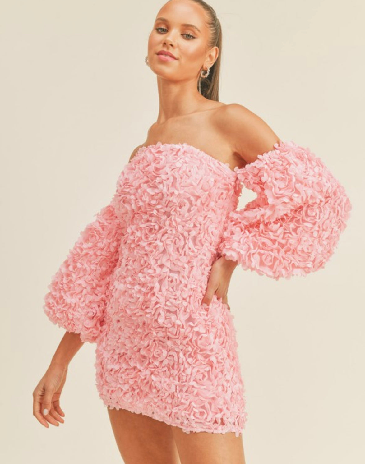 Hannah 3D Floral Appliqué Off Shoulder Puff Sleeve Mini Dress