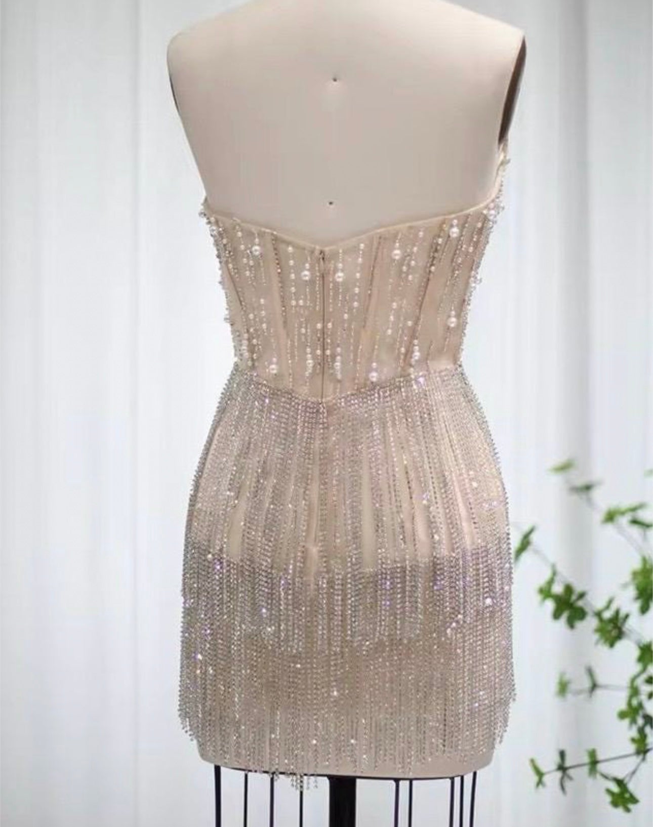 Layton Rhinestone Fringe and Pearl Embellished Mini Dress