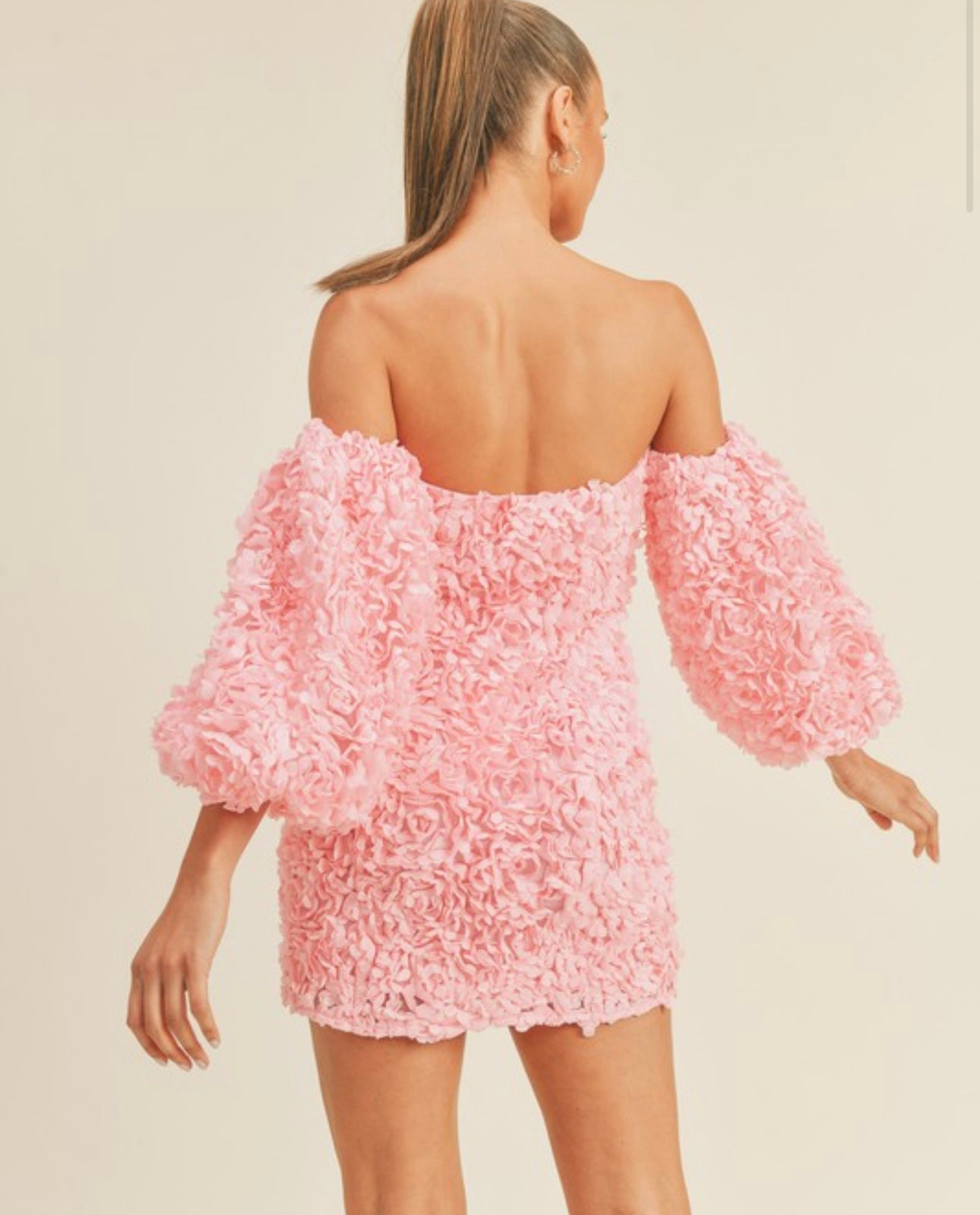 Hannah 3D Floral Appliqué Off Shoulder Puff Sleeve Mini Dress