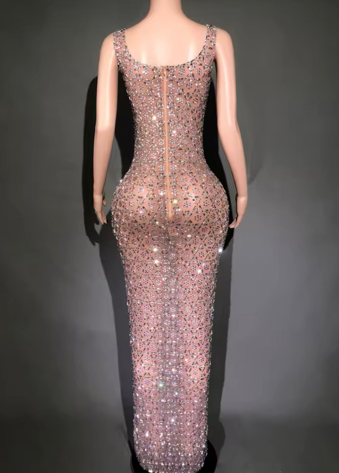 Adora Crystal Rhinestone Embellished Mesh Maxi Dress