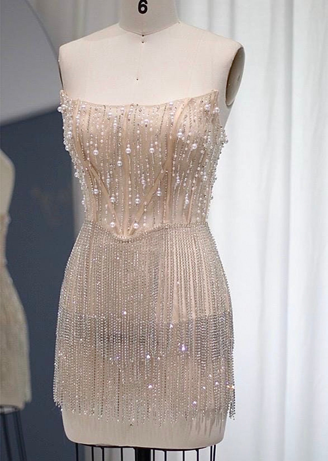 Layton Rhinestone Fringe and Pearl Embellished Mini Dress