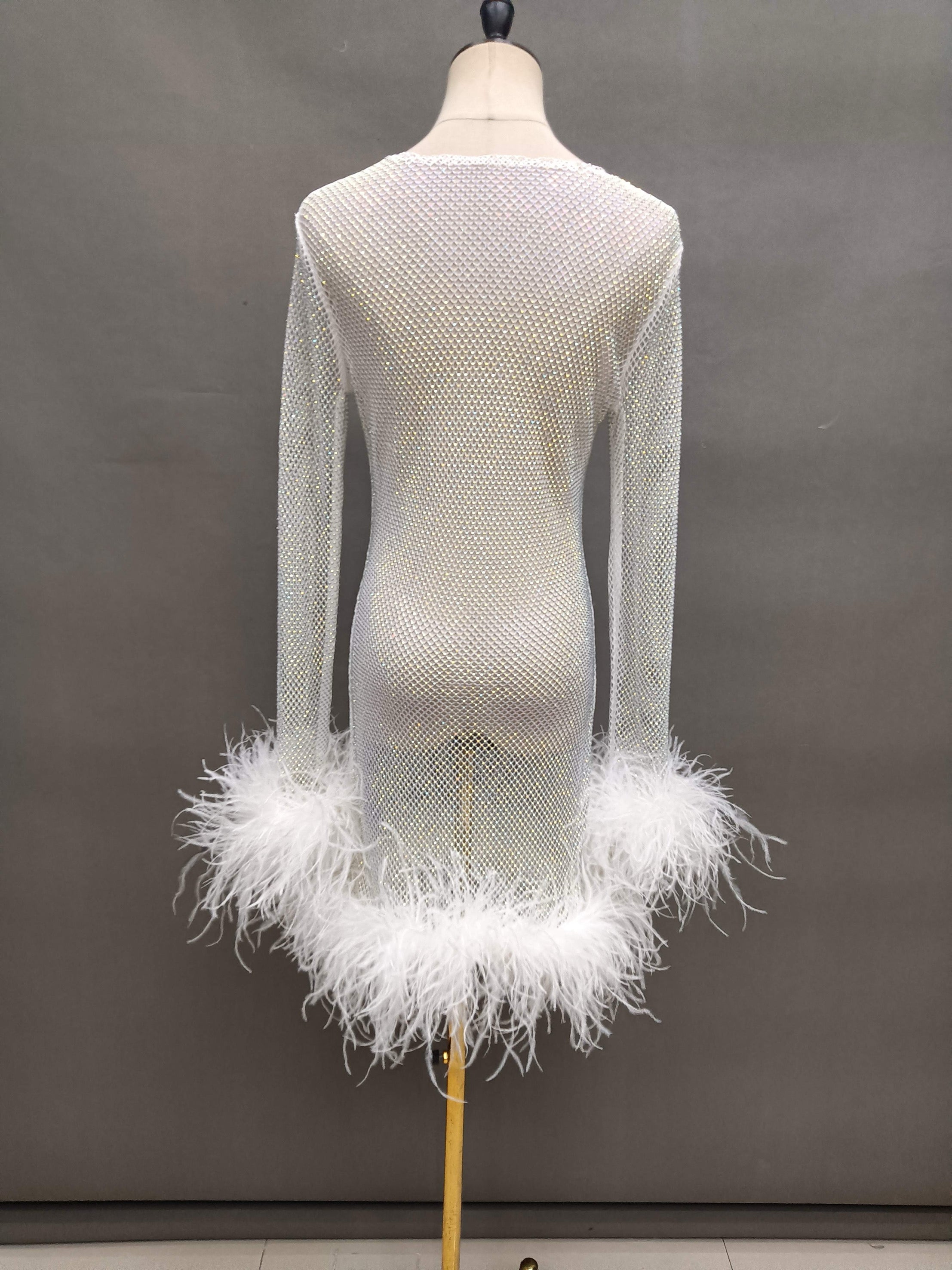 Hartford White Rhinestone Mesh Feather Trim Mini Dress