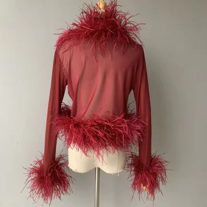 Cassie Sheer Long Sleeve Cardigan with Feather Collar and Sleeve Trim