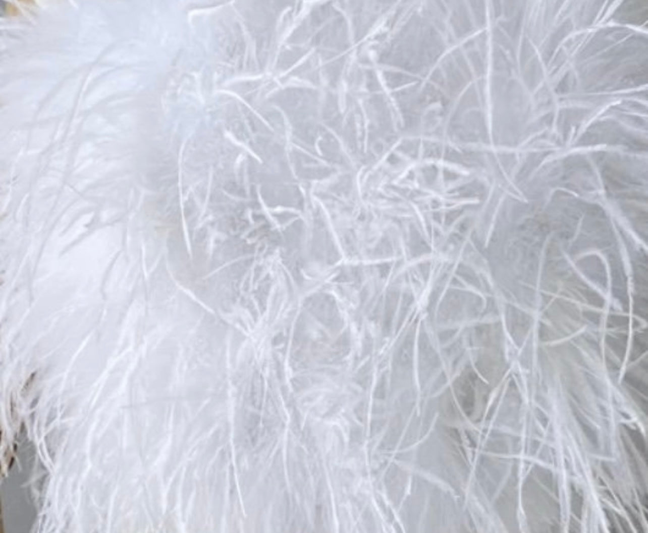 Dezi Fluffy Feather Coat - 30” Length