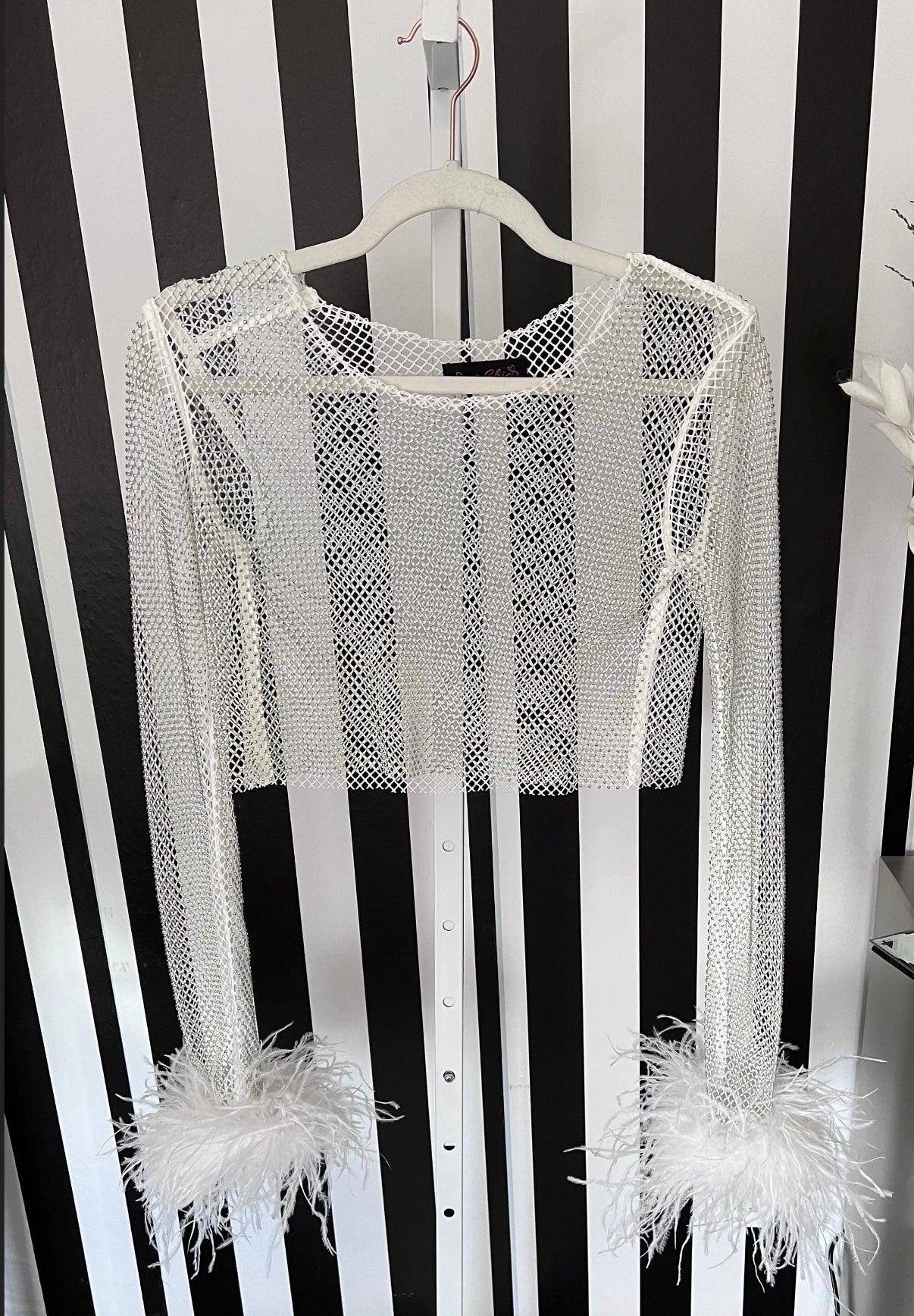 Lita Rhinestone Mesh Feather Trim Crop Top and Pant Set