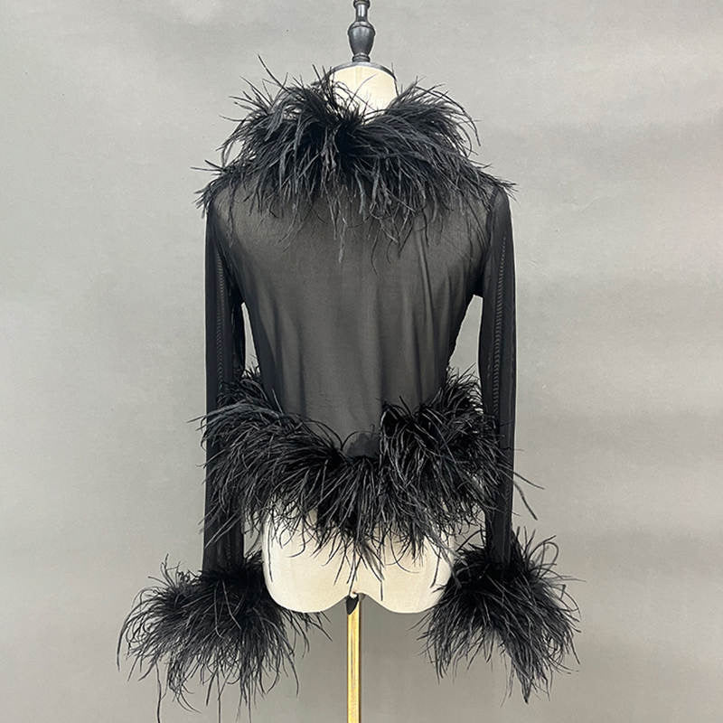 Cassie Sheer Long Sleeve Cardigan with Feather Collar and Sleeve Trim