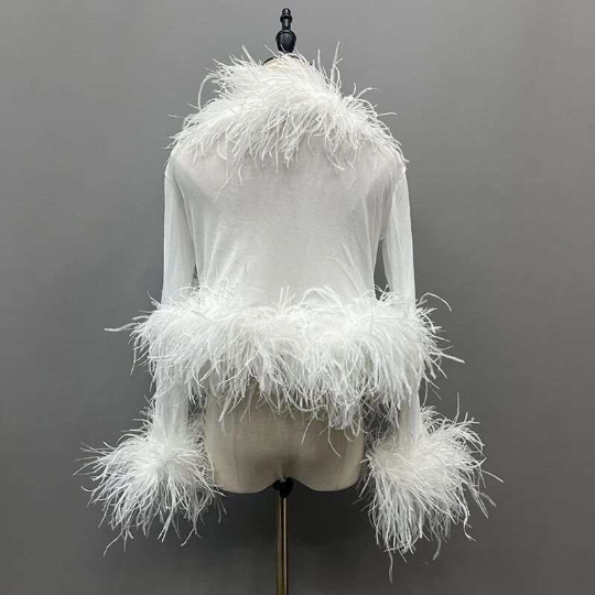 Cassie Sheer Long Sleeve Cardigan with Feather Collar and Sleeve Trim