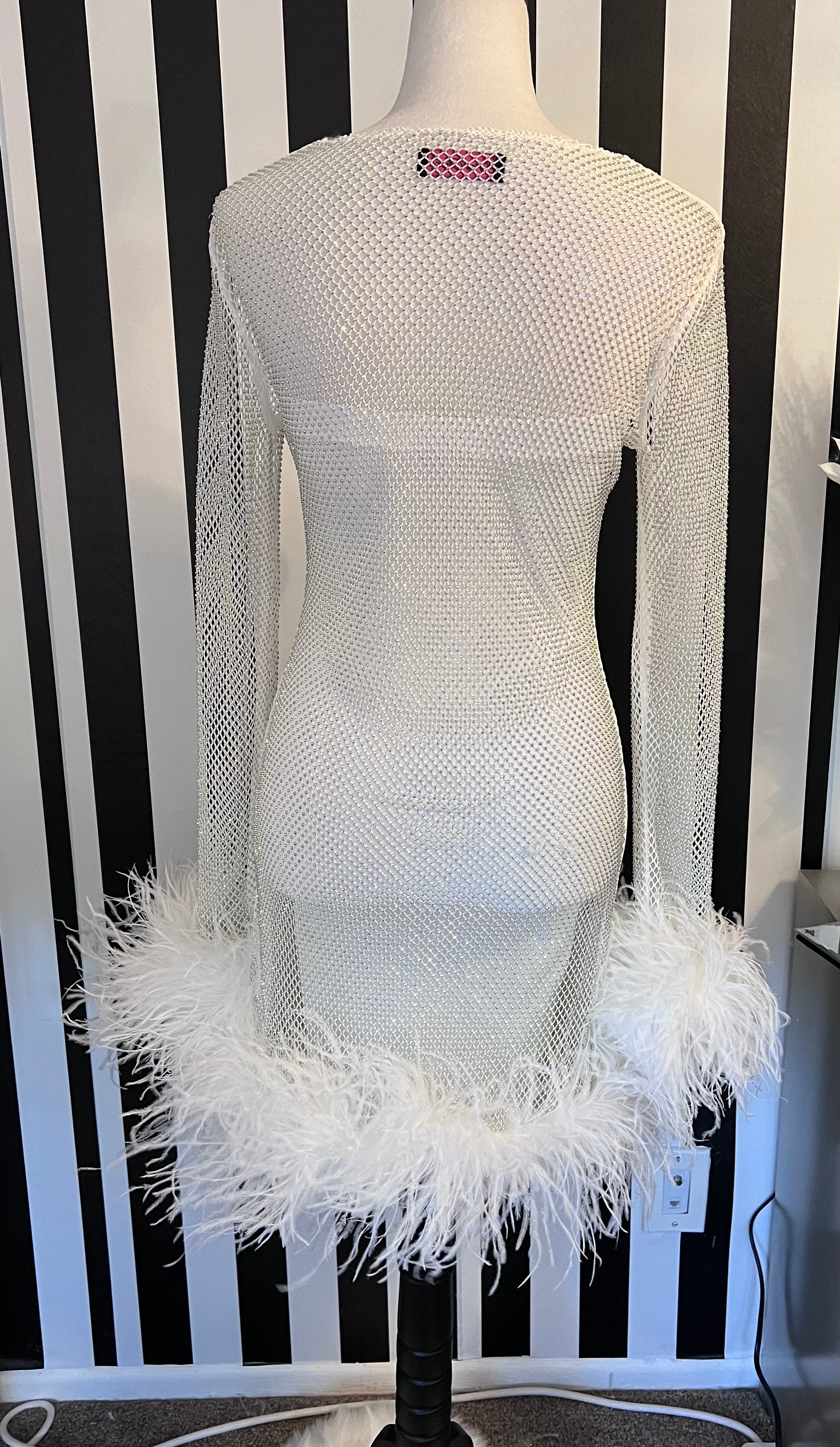 Hartford White Rhinestone Mesh Feather Trim Mini Dress