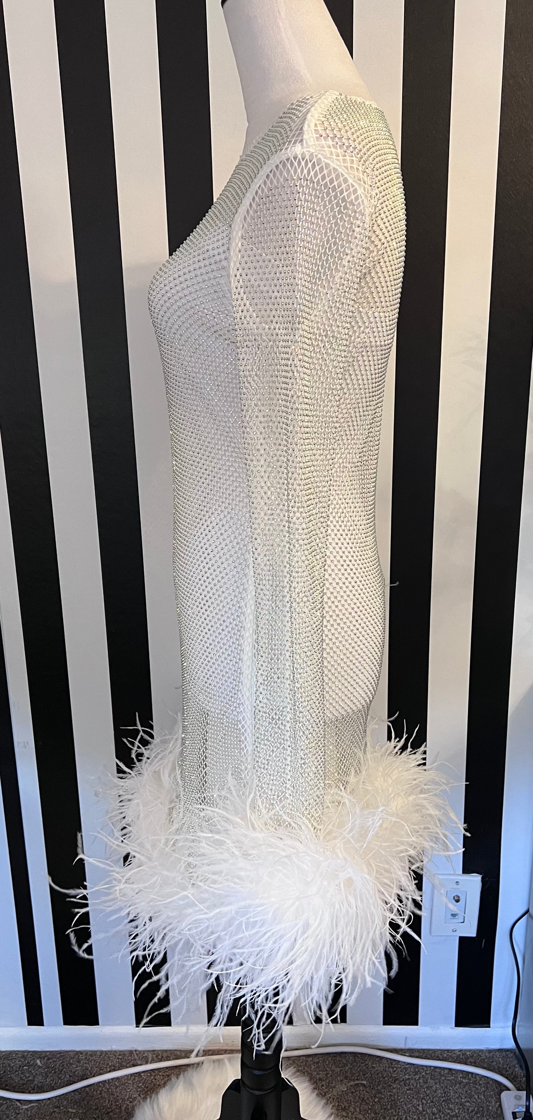 Hartford White Rhinestone Mesh Feather Trim Mini Dress