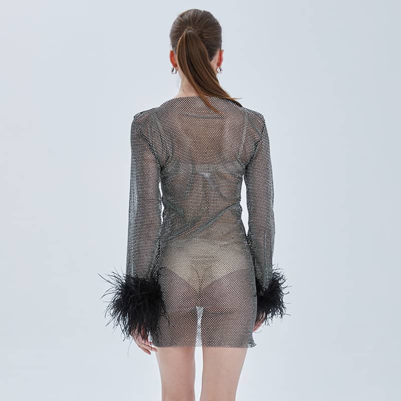 Chaya Mesh Rhinestone Mini Dress with Full Feather Trim - Ever Chic Fashions