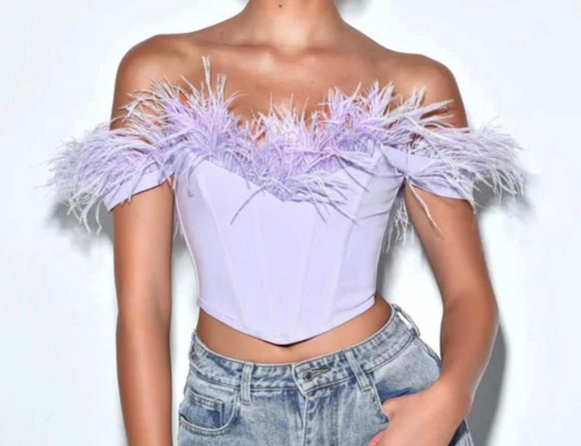 Franci Off Shoulder Feather Trim Corset Crop Top