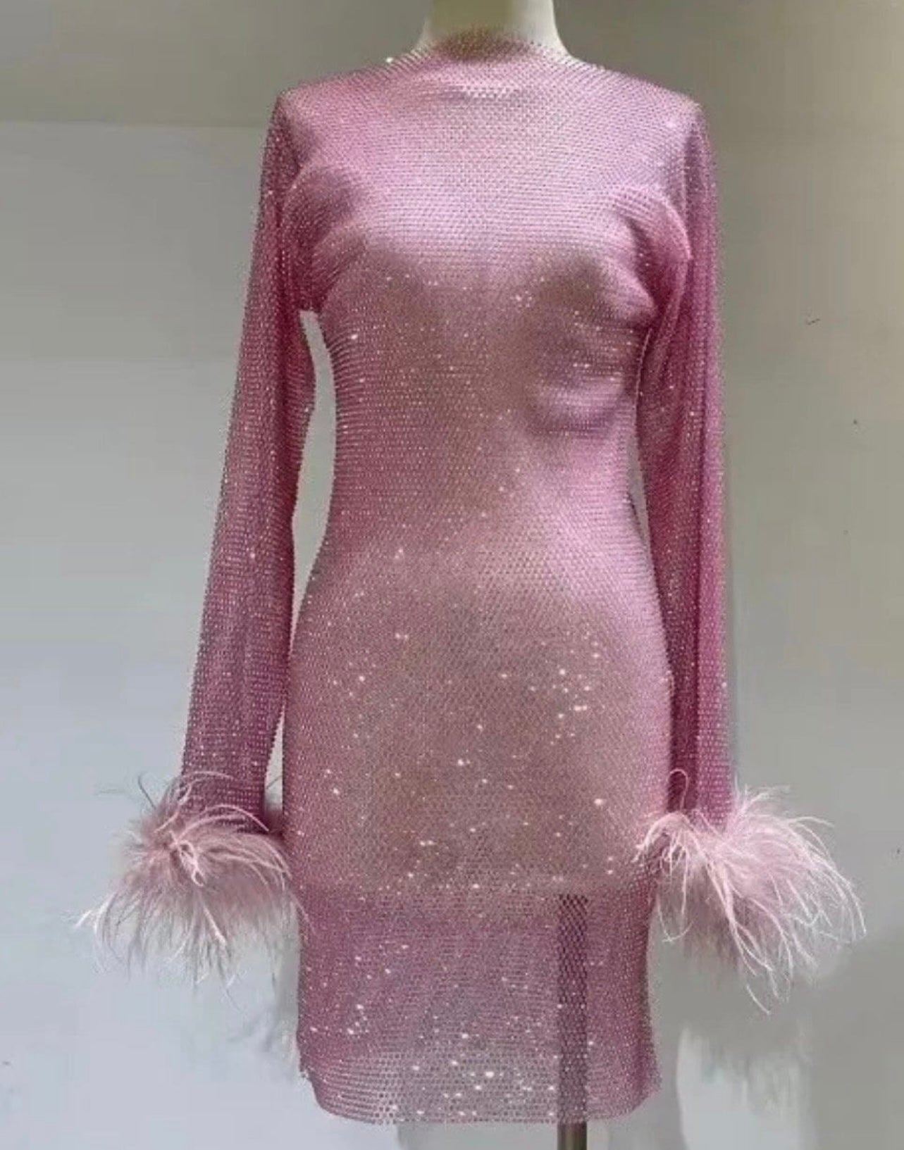 Nira Rhinestone Mesh Mini Dress with Feather Trim - Ever Chic Fashions