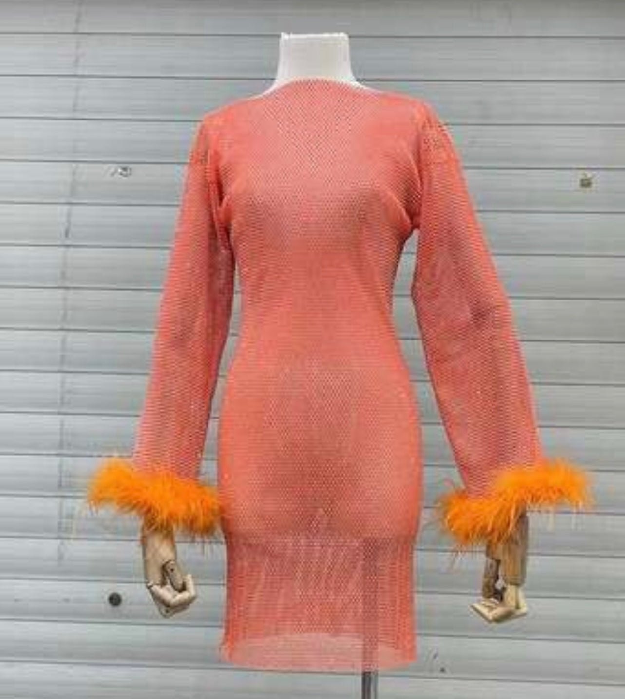 Nira Rhinestone Mesh Mini Dress with Feather Trim - Ever Chic Fashions