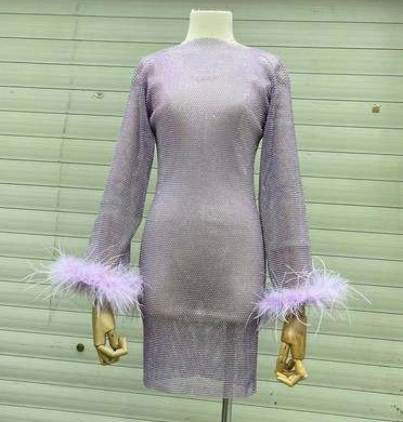 Nira Rhinestone Mesh Mini Dress with Feather Trim - Ever Chic Fashions