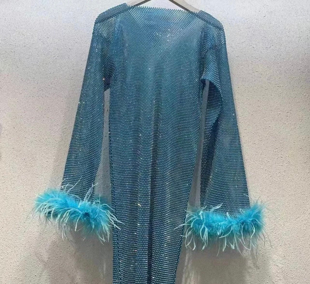 Nira Rhinestone Mesh Mini Dress with Feather Trim - Ever Chic Fashions