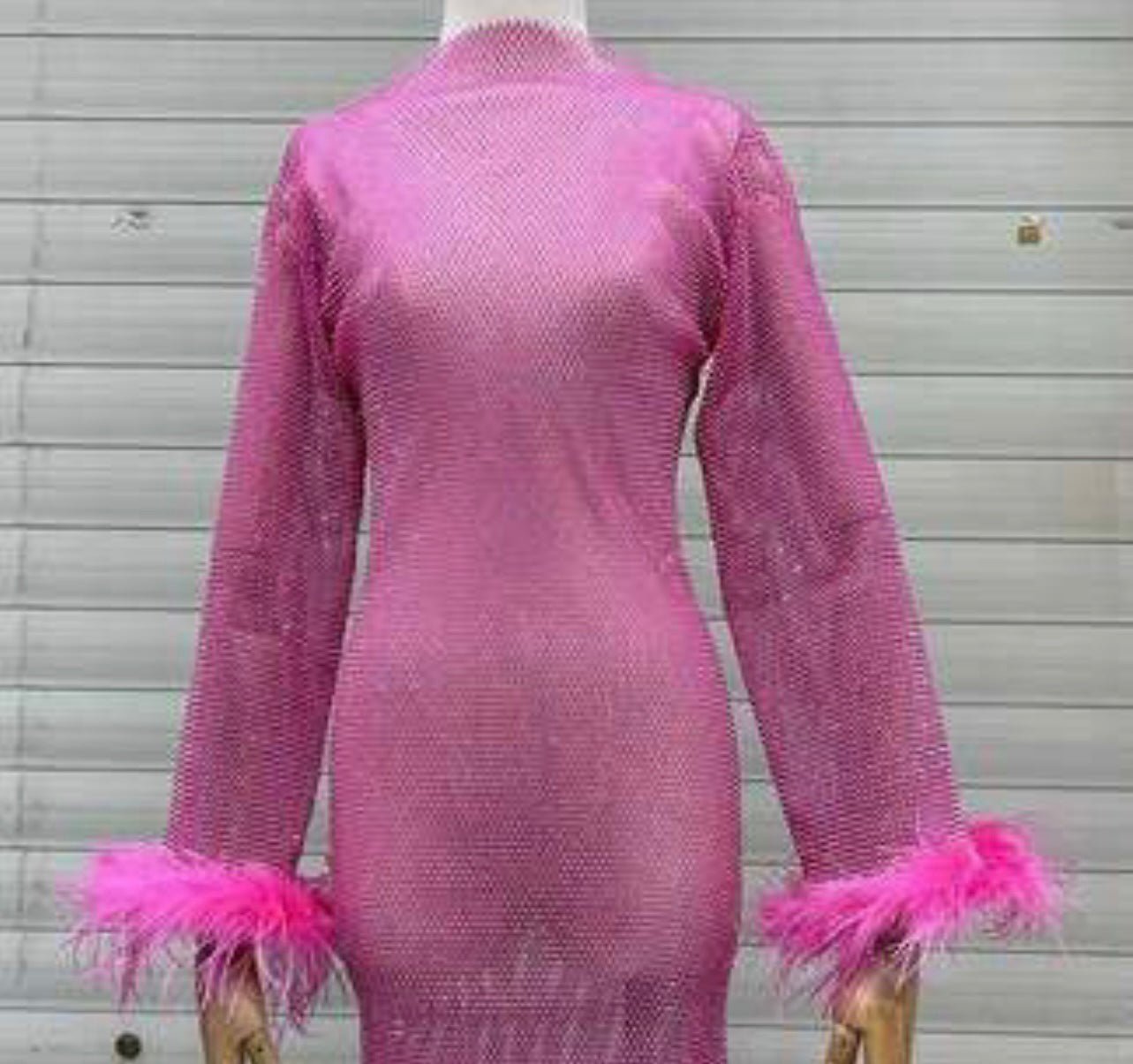 Nira Rhinestone Mesh Mini Dress with Feather Trim - Ever Chic Fashions