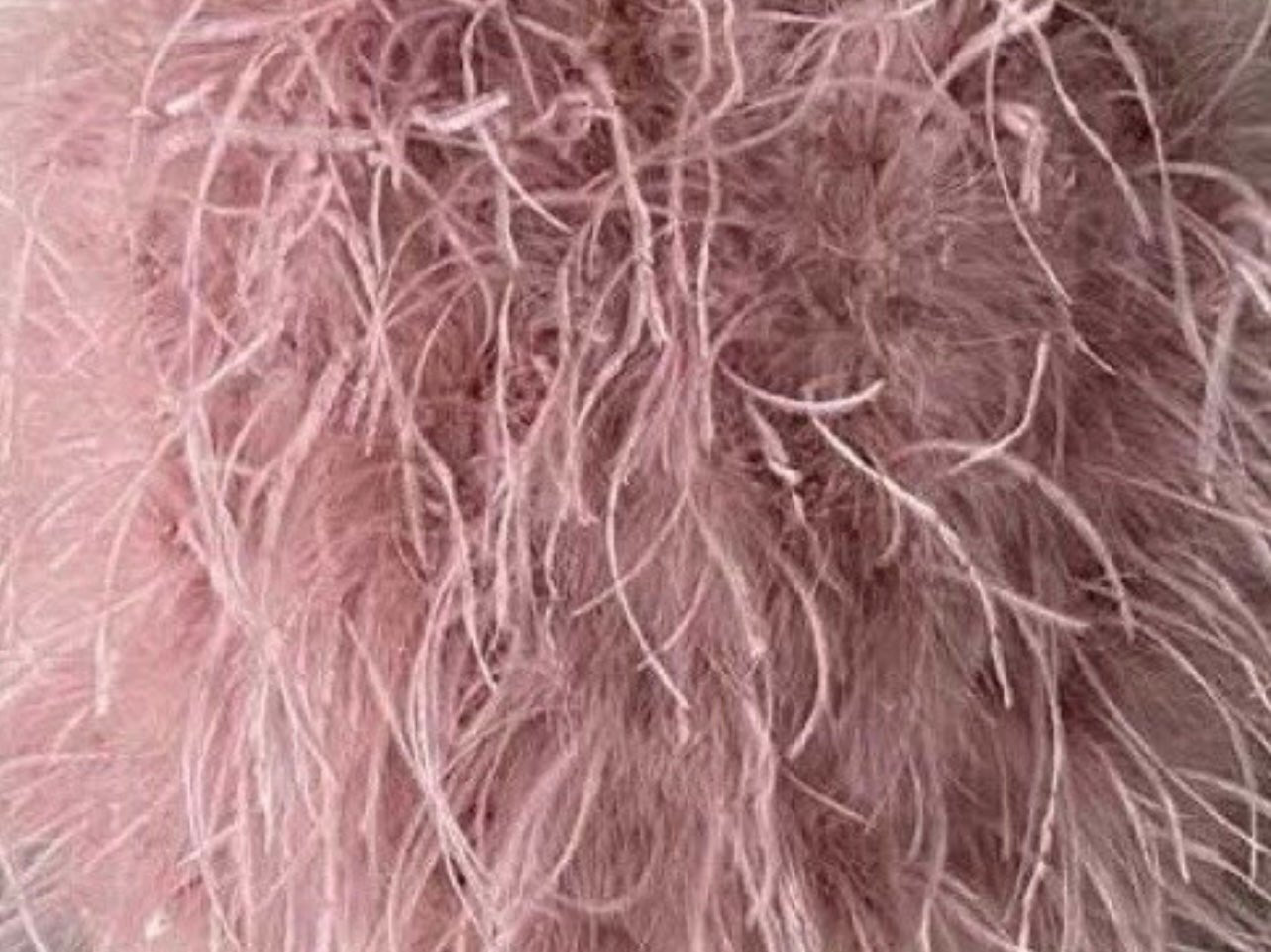 Tatum Feather Mini Skirt - Ever Chic Fashions