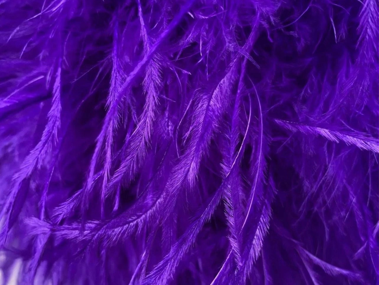 Tatum Feather Mini Skirt - Ever Chic Fashions