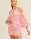 Hannah 3D Floral Appliqué Off Shoulder Puff Sleeve Mini Dress