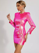 Ansley Long Sleeve Sequin Back Zipper Mini Dress