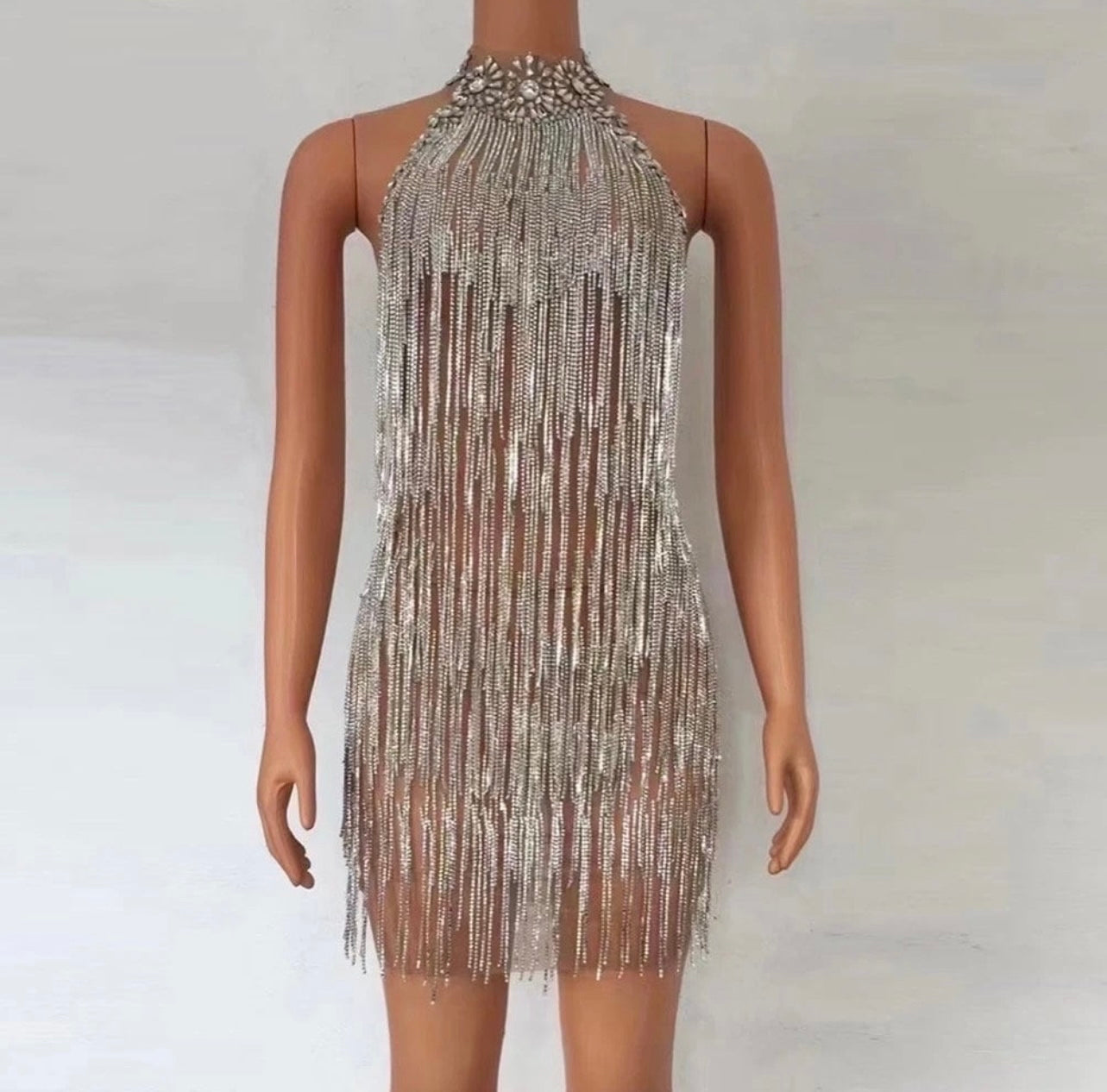 Saoirse Rhinestone Fringe Embellished Halter Backless Mini Dress