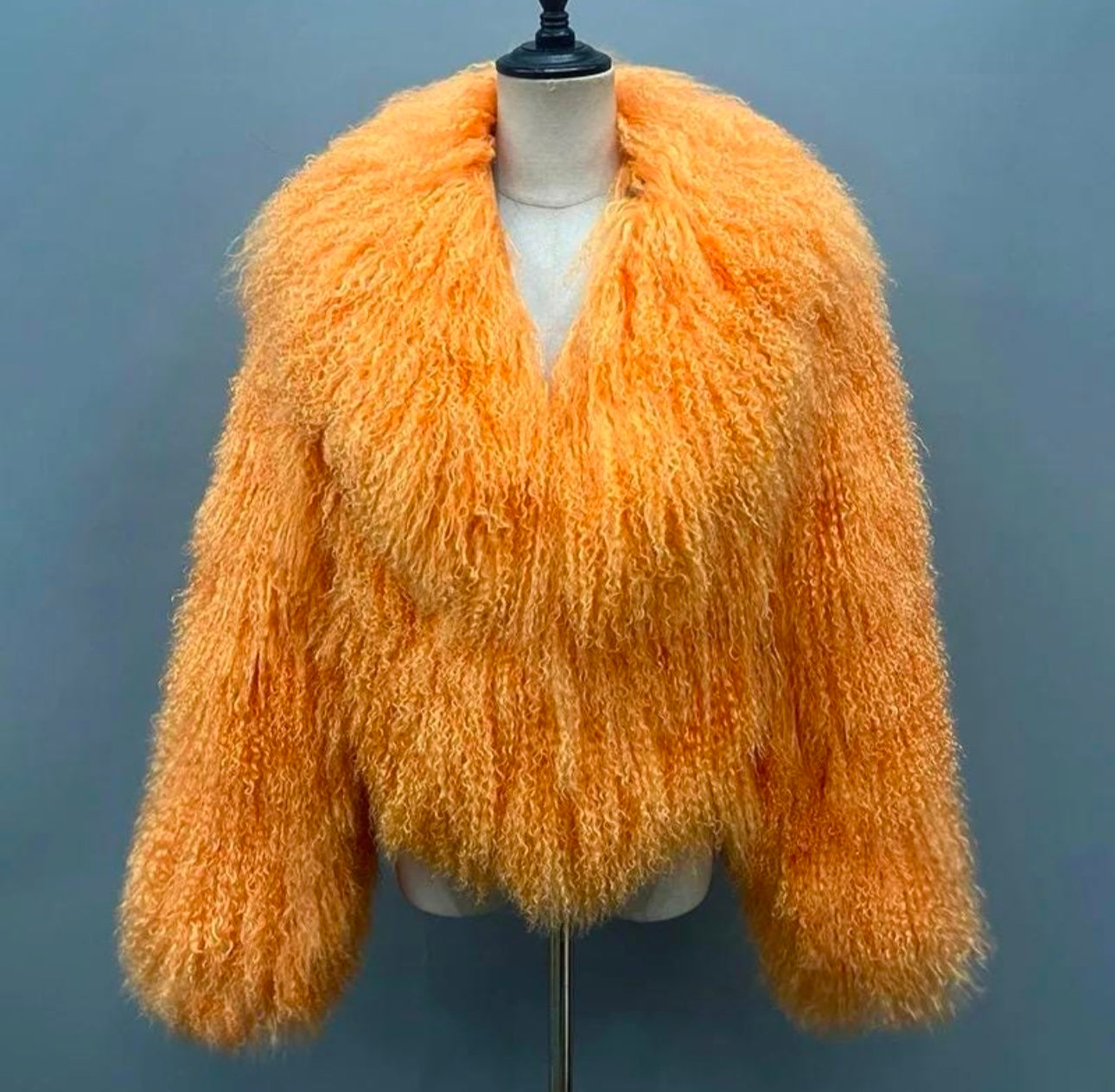 Shaya Mongolian Fur Fluffy Collar Waist Length Coat