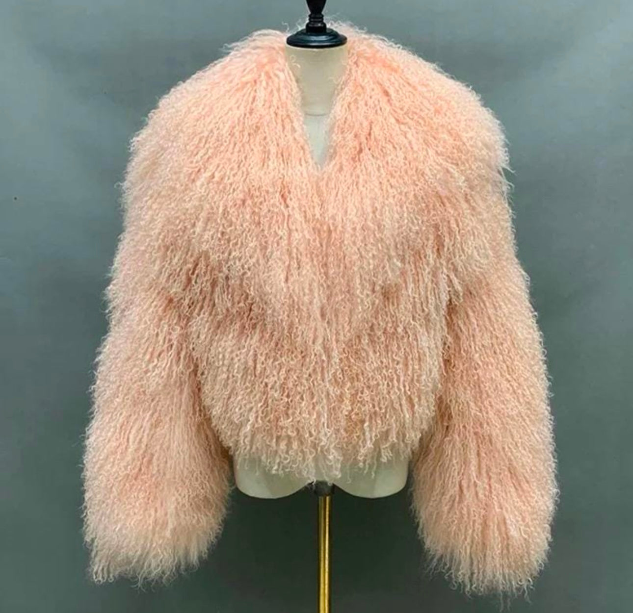 Shaya Mongolian Fur Fluffy Collar Waist Length Coat