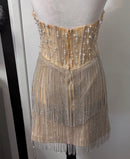 Leia Rhinestone Fringe and Pearl Embellished Mini Dress