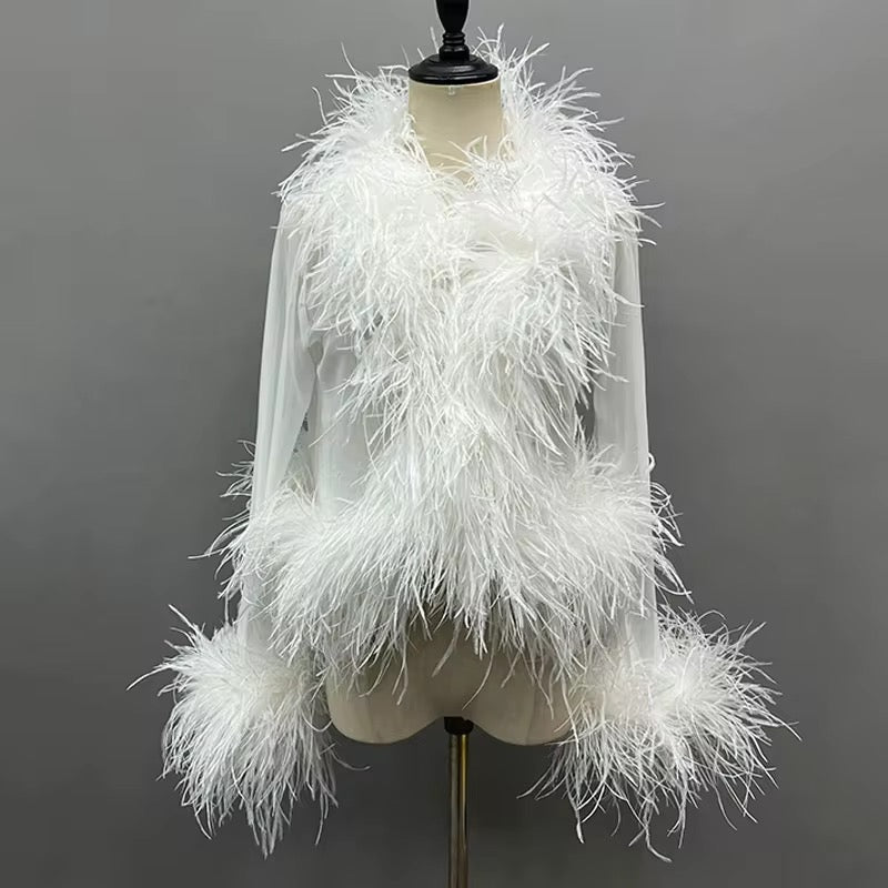 Cassie Sheer Long Sleeve Cardigan with Feather Collar and Sleeve