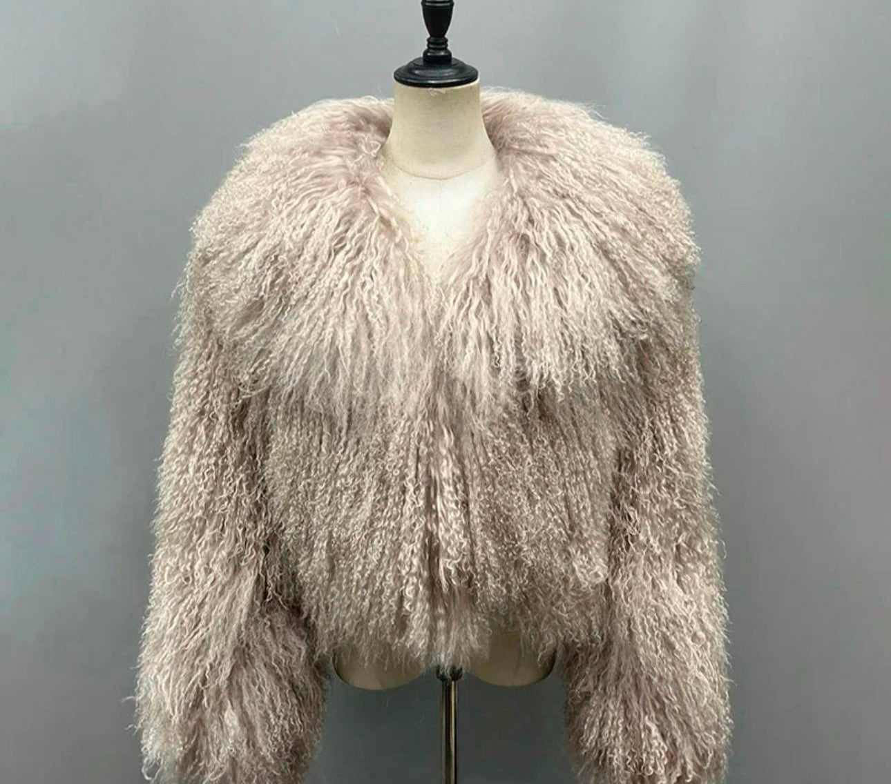 Shaya Mongolian Fur Fluffy Collar Waist Length Coat