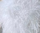 Dira Long Fluffy Feather Coat