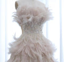 Fia Ivory Pink Strapless Beaded Corset Full Feather Gown