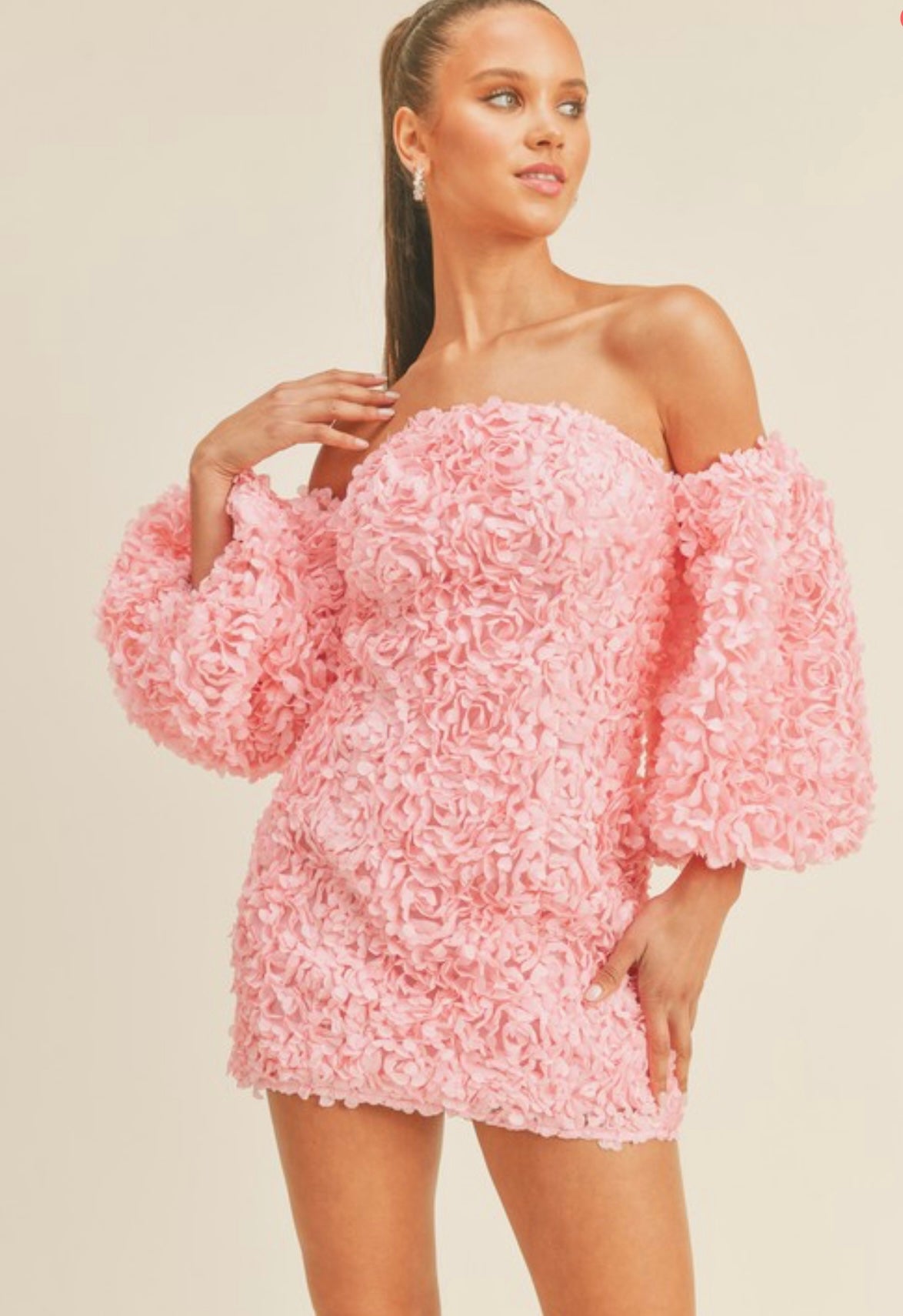 Hannah 3D Floral Appliqué Off Shoulder Puff Sleeve Mini Dress