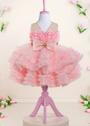 Emma Girls 3D Floral and Tulle Ruffle ALine Puff Mini Dress