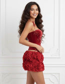 Alira Velvet Lace Up Corset Floral Ruffle Mini Skirt Set