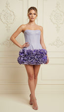 Nisa Strapless Sweetheart Neck Corset with Back Tie Ruffle Mini Dress