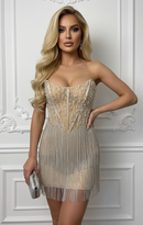 Layton Rhinestone Fringe and Pearl Embellished Mini Dress