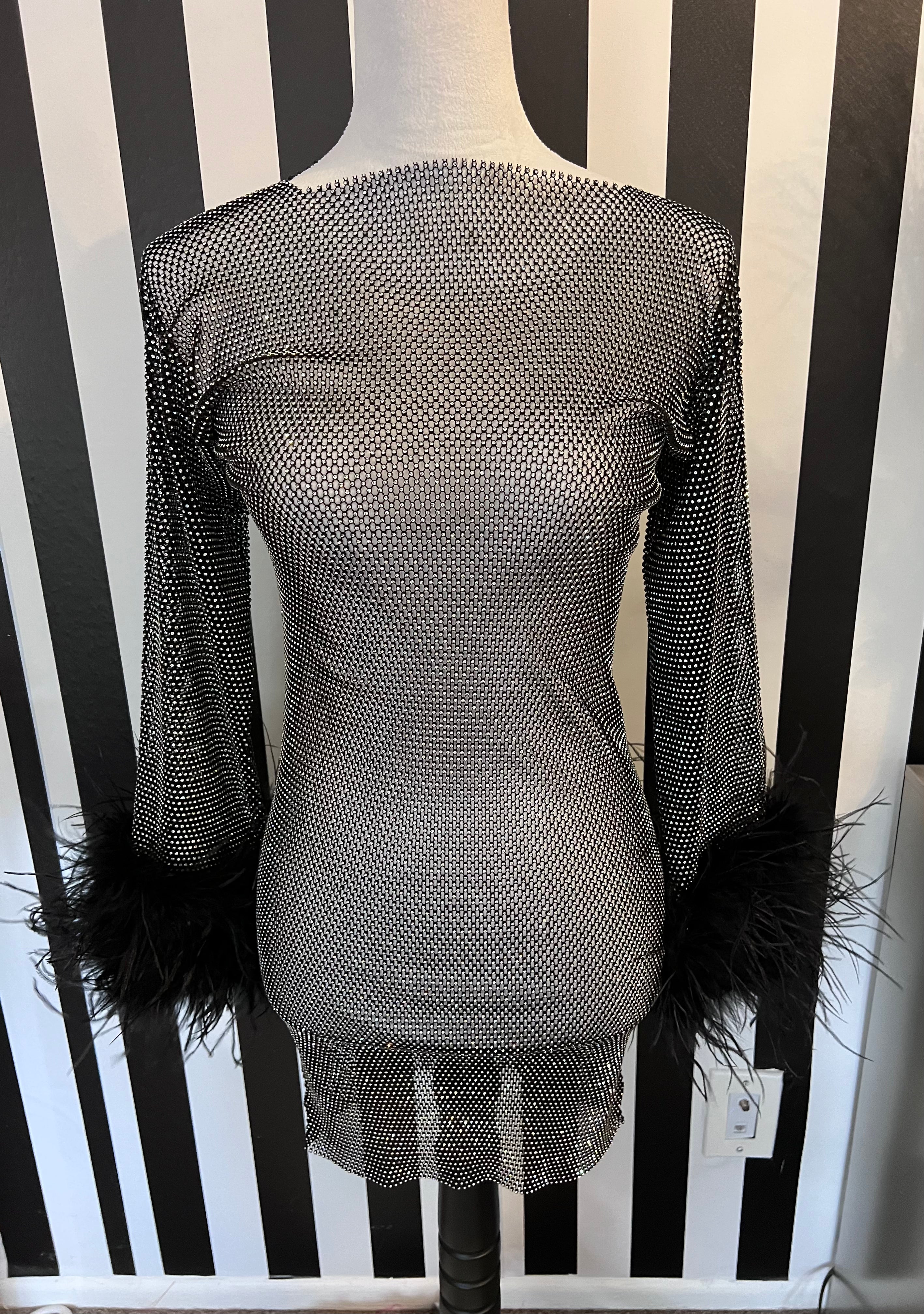 Chaya Mesh Rhinestone Mini Dress with Full Feather Trim