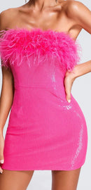 Brea Sequin Mini Dress with Feather Trim - Ever Chic Fashions