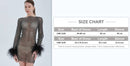 Chaya Mesh Rhinestone Mini Dress with Full Feather Trim - Ever Chic Fashions