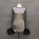 Hadley Crystal Rhinestone Mesh Gathered Side Mini Dress with Feather Trim - Ever Chic Fashions